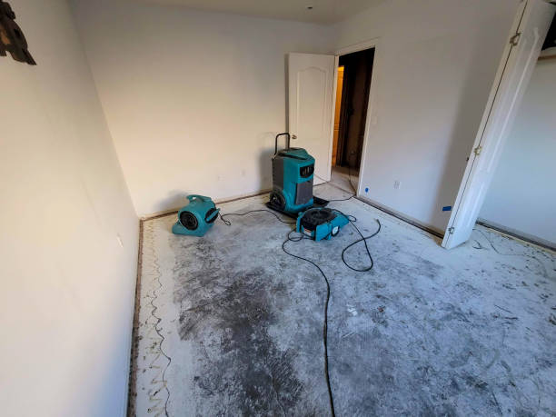Best Mold removal after water damage  in Vincent, CA
