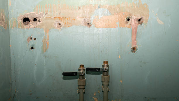 Best Fire Damage Restoration  in Vincent, CA