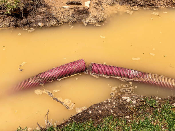 Best Water damage restoration mold remediation  in Vincent, CA