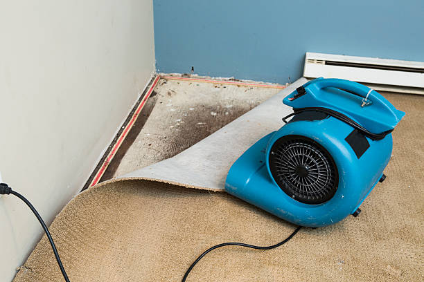 Best Water damage contractors near me  in Vincent, CA